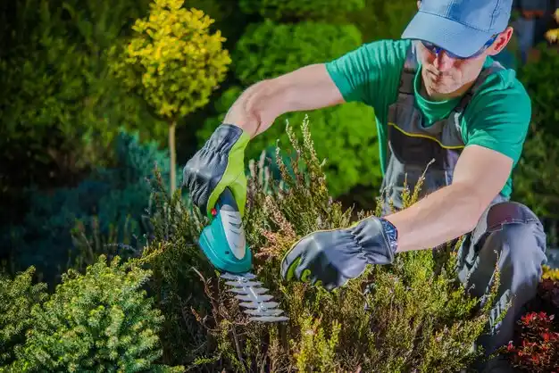 landscaping services Kevil